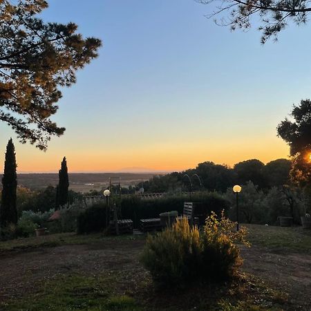 Casa Belvedere -Tranquillita Tra Bosco E Ulivi- Riparbella Kültér fotó