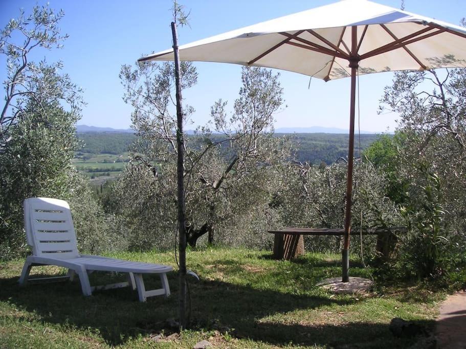 Casa Belvedere -Tranquillita Tra Bosco E Ulivi- Riparbella Kültér fotó