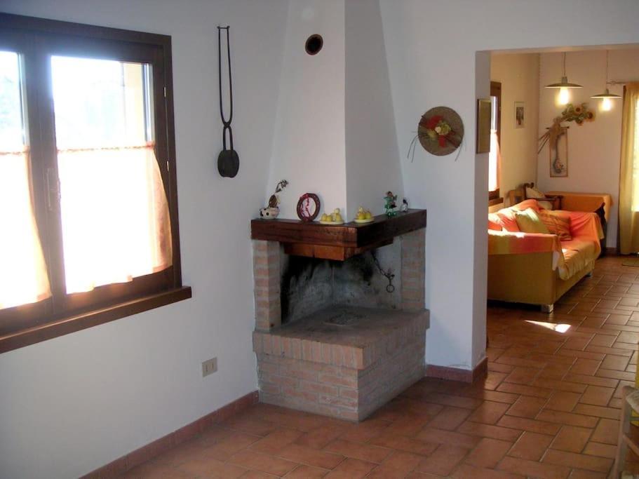 Casa Belvedere -Tranquillita Tra Bosco E Ulivi- Riparbella Kültér fotó