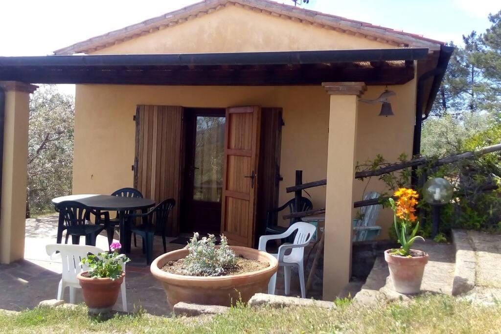 Casa Belvedere -Tranquillita Tra Bosco E Ulivi- Riparbella Kültér fotó