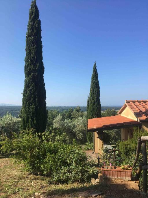 Casa Belvedere -Tranquillita Tra Bosco E Ulivi- Riparbella Kültér fotó