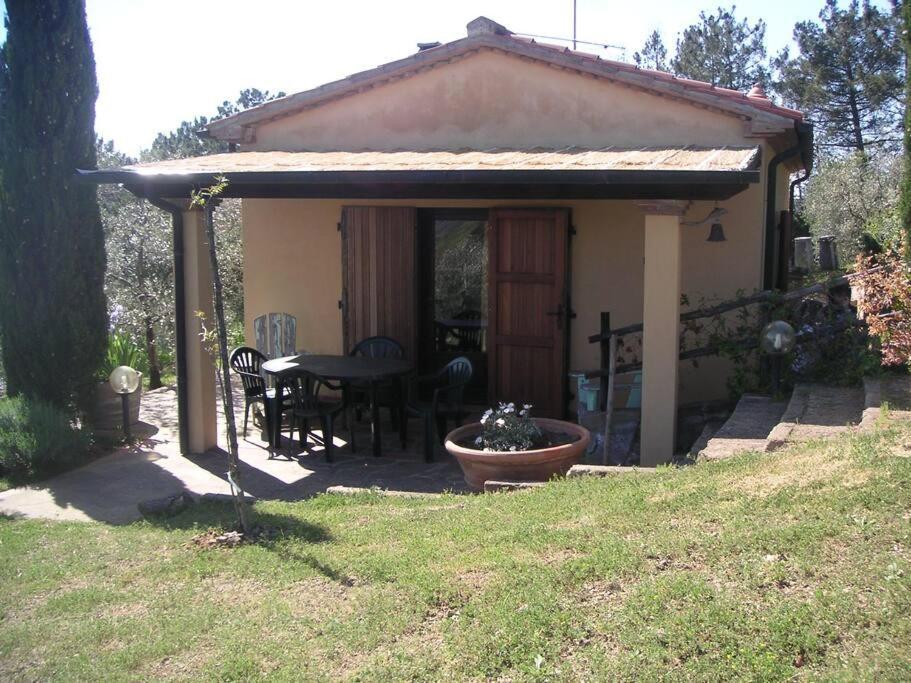 Casa Belvedere -Tranquillita Tra Bosco E Ulivi- Riparbella Kültér fotó