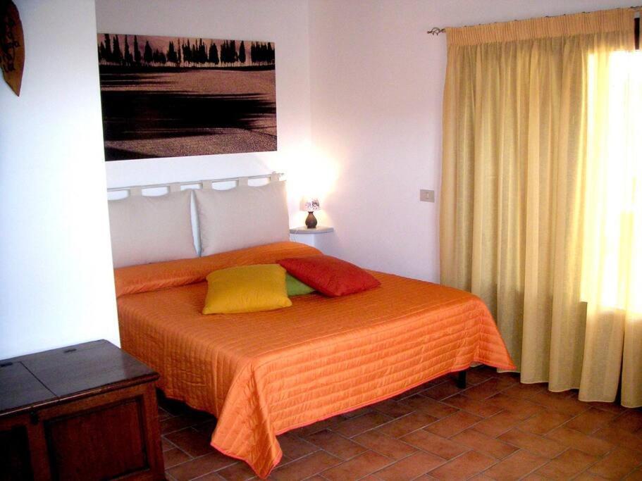 Casa Belvedere -Tranquillita Tra Bosco E Ulivi- Riparbella Kültér fotó