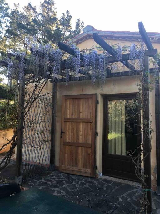 Casa Belvedere -Tranquillita Tra Bosco E Ulivi- Riparbella Kültér fotó