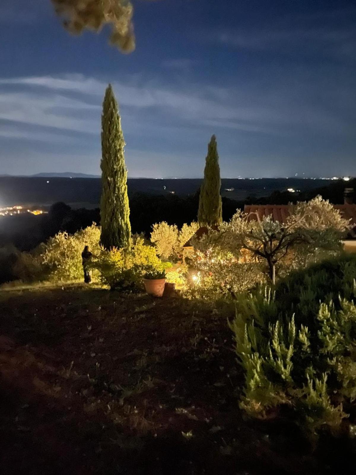 Casa Belvedere -Tranquillita Tra Bosco E Ulivi- Riparbella Kültér fotó